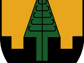 Wappen Obsteig